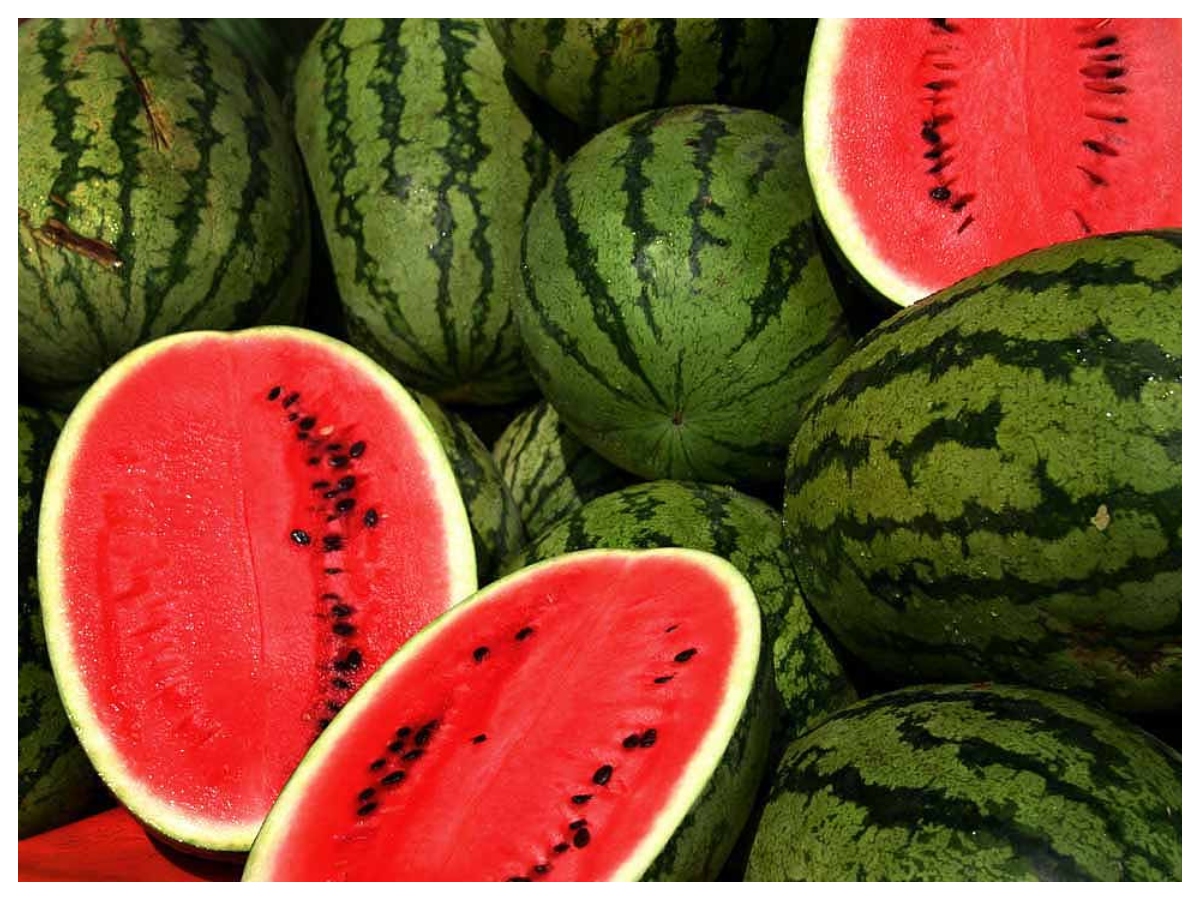 Summer fruits: ये हैं गर्मियों के सुपर फ्रूट्स, तरोताजा, हाइड्रेट और एनर्जी देने वाले फल - Photo Gallery