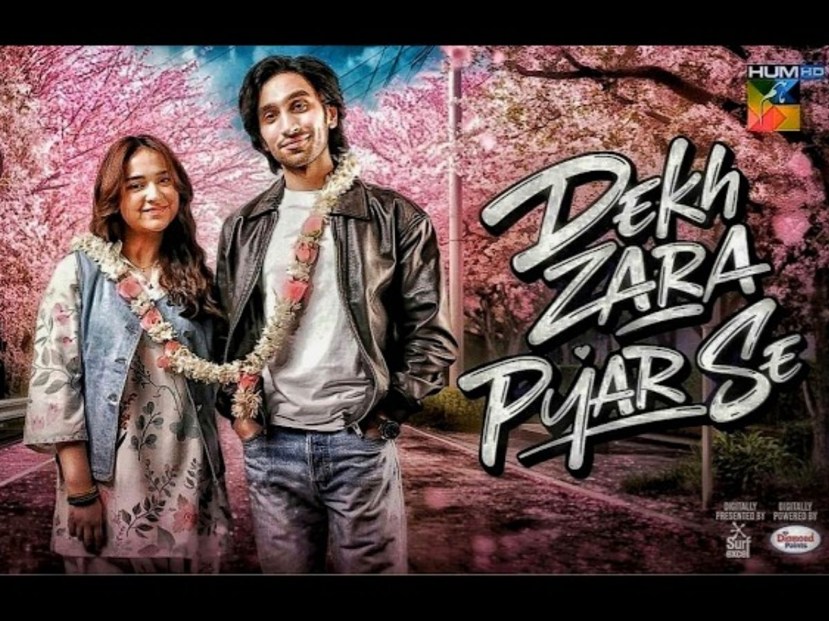 Top 6 Pakistani Drama: ‘Meri Zindagi Hai Tu’ ही नहीं, साल के ये 6 पाकिस्तानी ड्रामे हैं बेहतरीन; अगले एपिसोड का भी नहीं होगा इंतजार - Photo Gallery