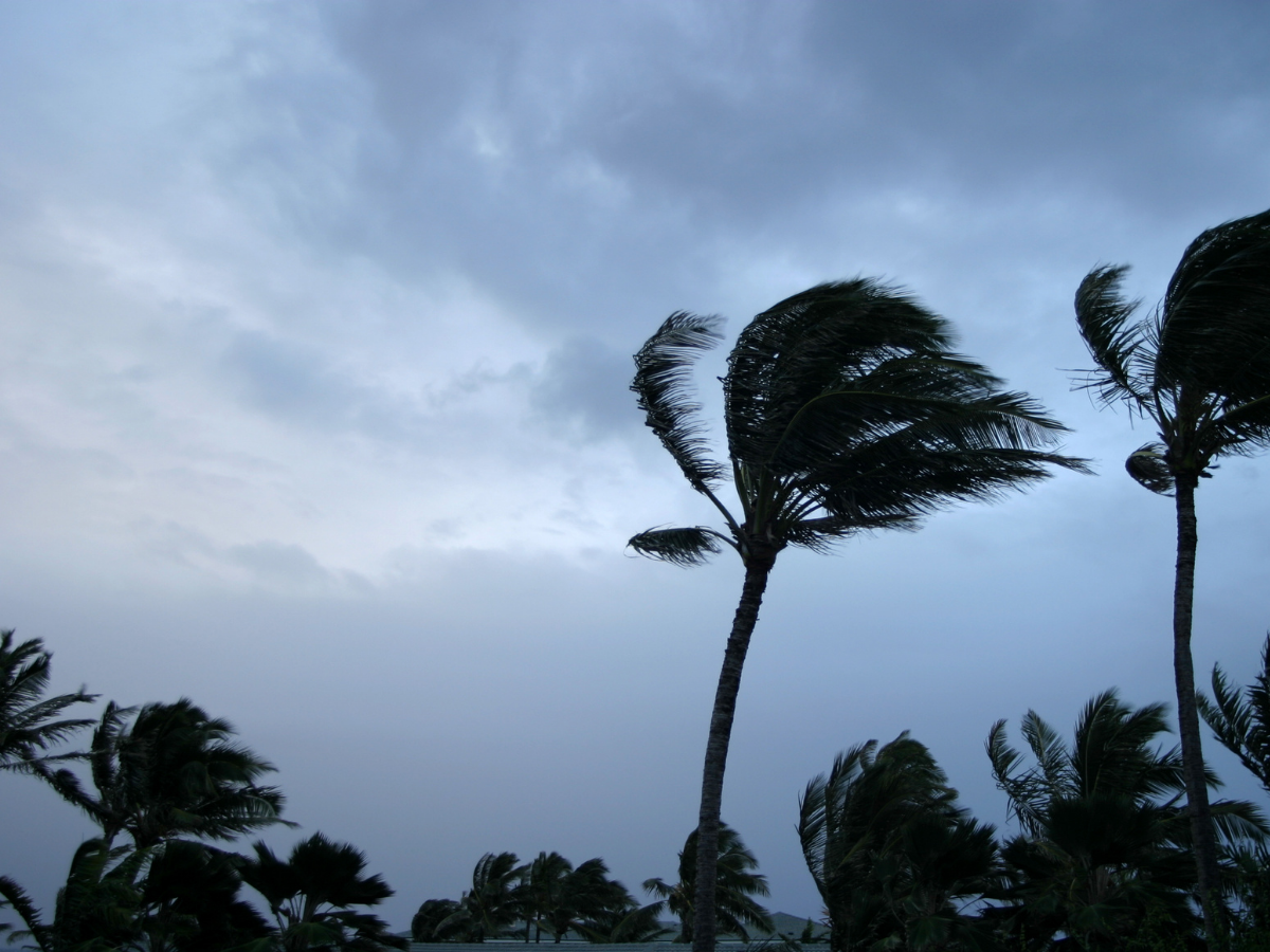 बारिश होगी कम, जेब पर पड़ेगा असर! IMD का 2026 को लेकर बड़ा अलर्ट - Photo Gallery