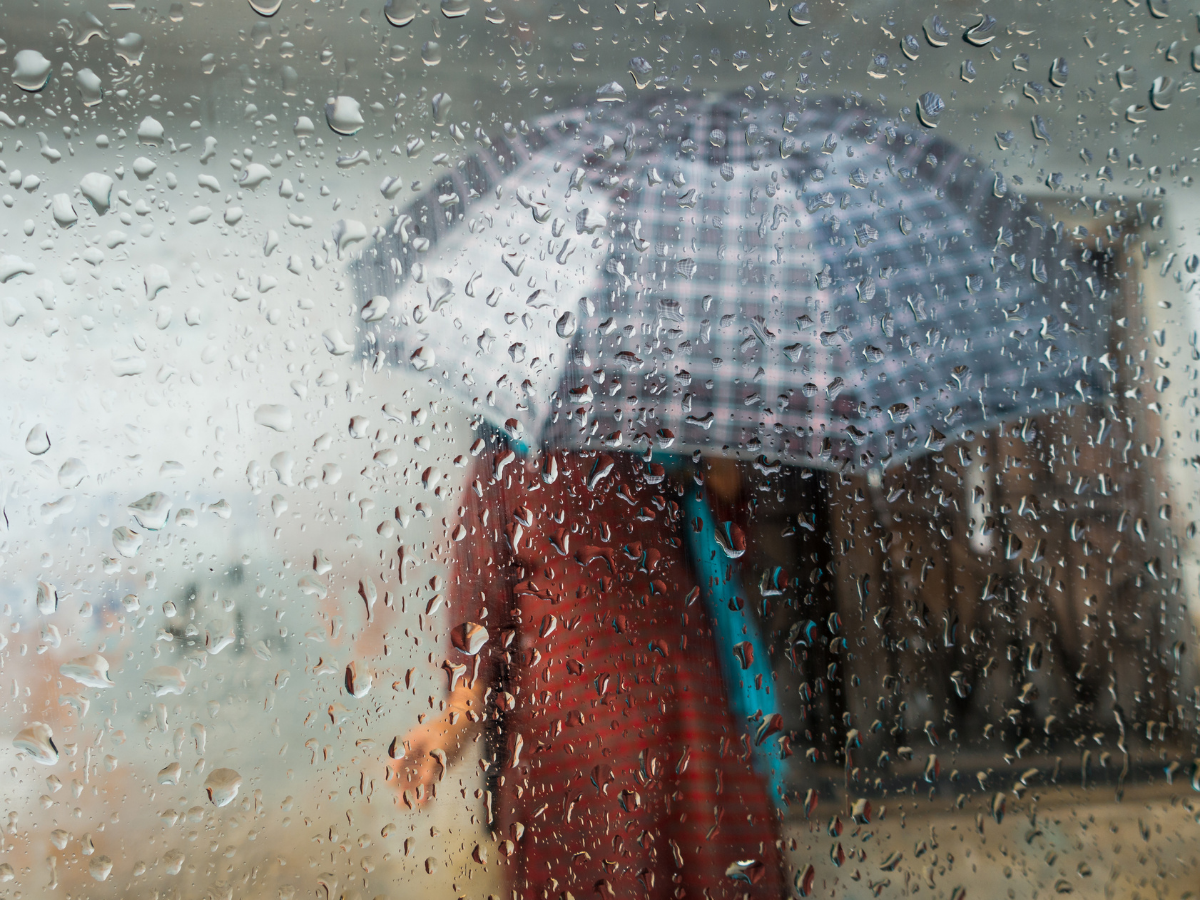 बारिश होगी कम, जेब पर पड़ेगा असर! IMD का 2026 को लेकर बड़ा अलर्ट - Photo Gallery