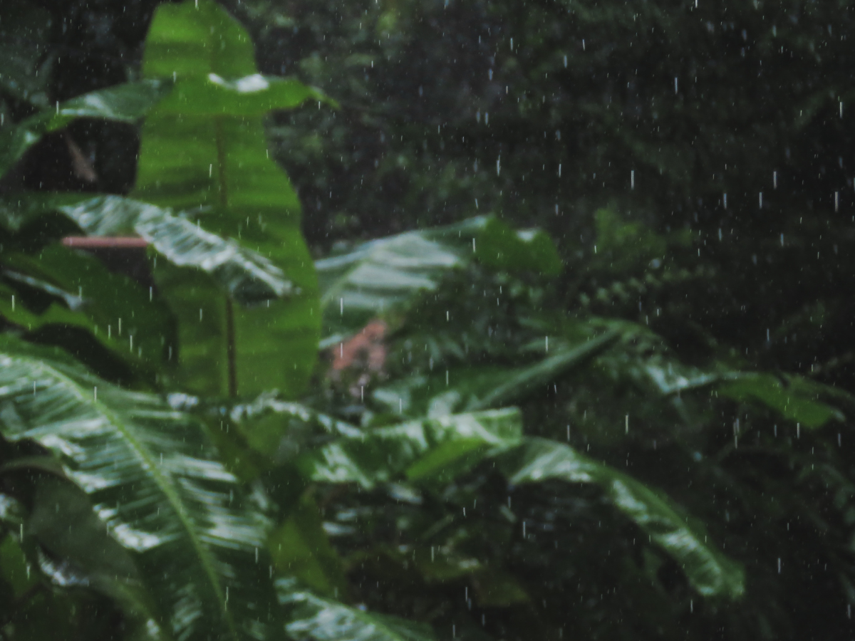 बारिश होगी कम, जेब पर पड़ेगा असर! IMD का 2026 को लेकर बड़ा अलर्ट - Photo Gallery