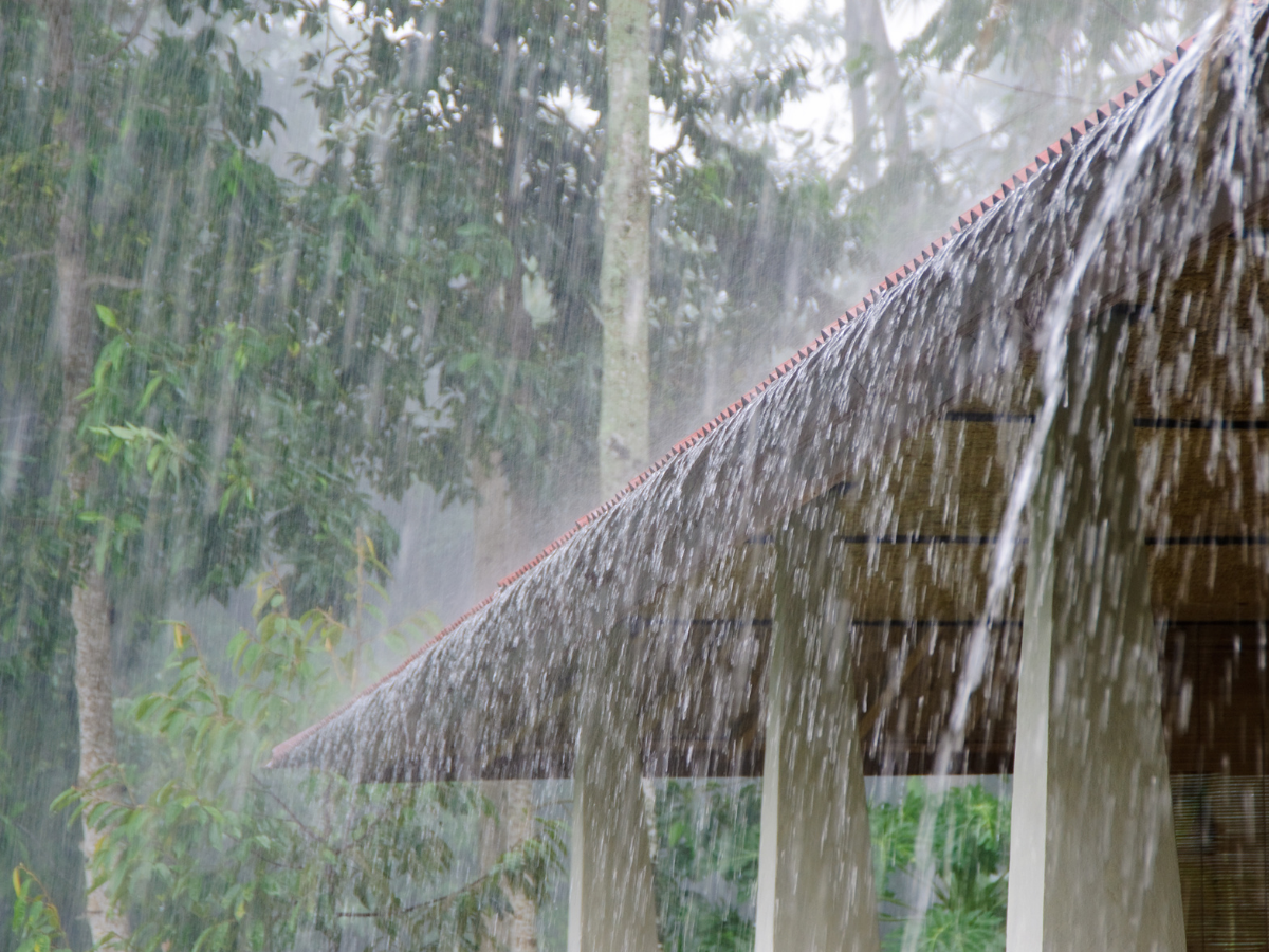 India Monsoon 2026: क्या इस बार रूठ जाएंगे बादल? 2026 मॉनसून पर बड़ा खतरा! - Photo Gallery