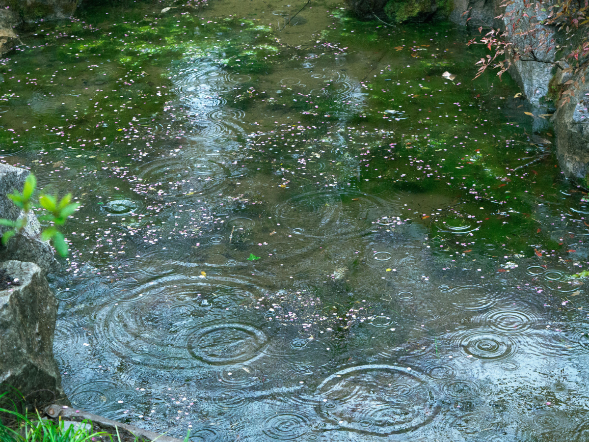 India Monsoon 2026: क्या इस बार रूठ जाएंगे बादल? 2026 मॉनसून पर बड़ा खतरा! - Photo Gallery