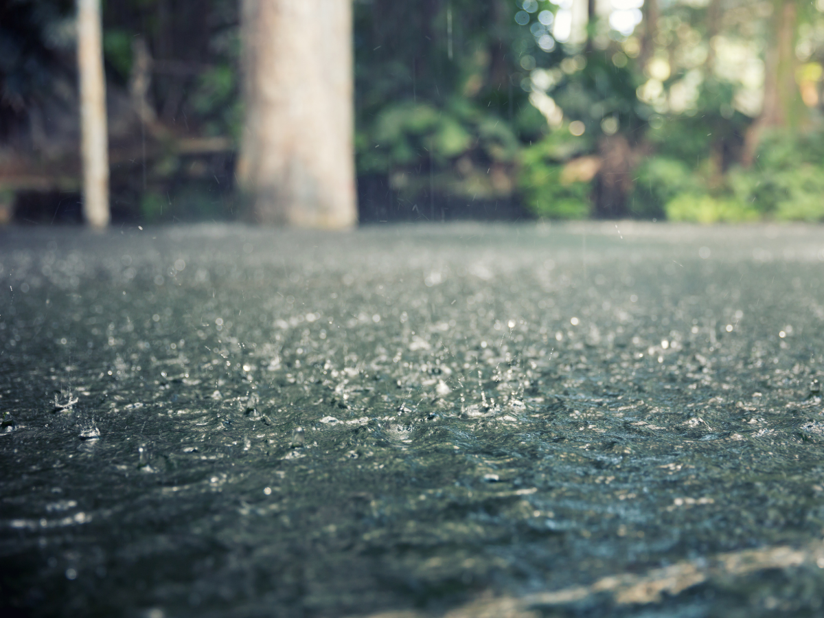 India Monsoon 2026: क्या इस बार रूठ जाएंगे बादल? 2026 मॉनसून पर बड़ा खतरा! - Photo Gallery