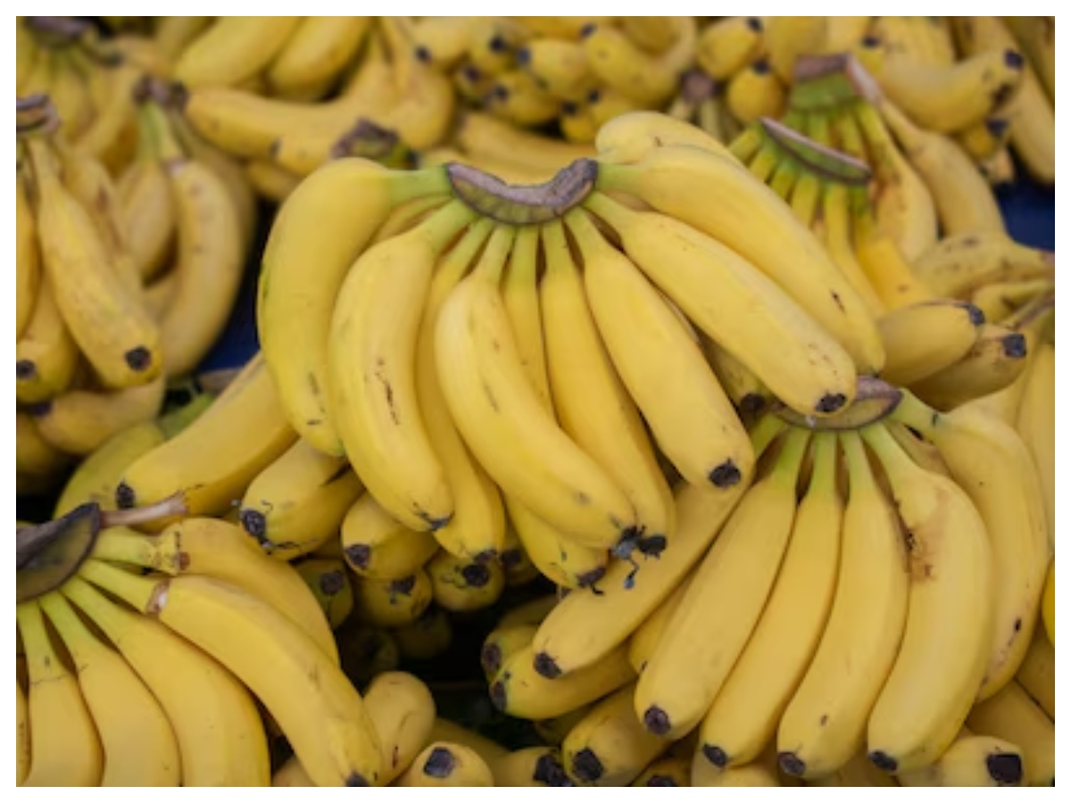 Green banana vs yellow banana: हरा या पीला केला, फाइबर, शुगर और सेहत के हिसाब से कौन सा है बेहतर विकल्प? - Photo Gallery
