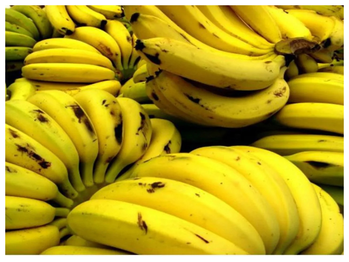 Green banana vs yellow banana: हरा या पीला केला, फाइबर, शुगर और सेहत के हिसाब से कौन सा है बेहतर विकल्प? - Photo Gallery