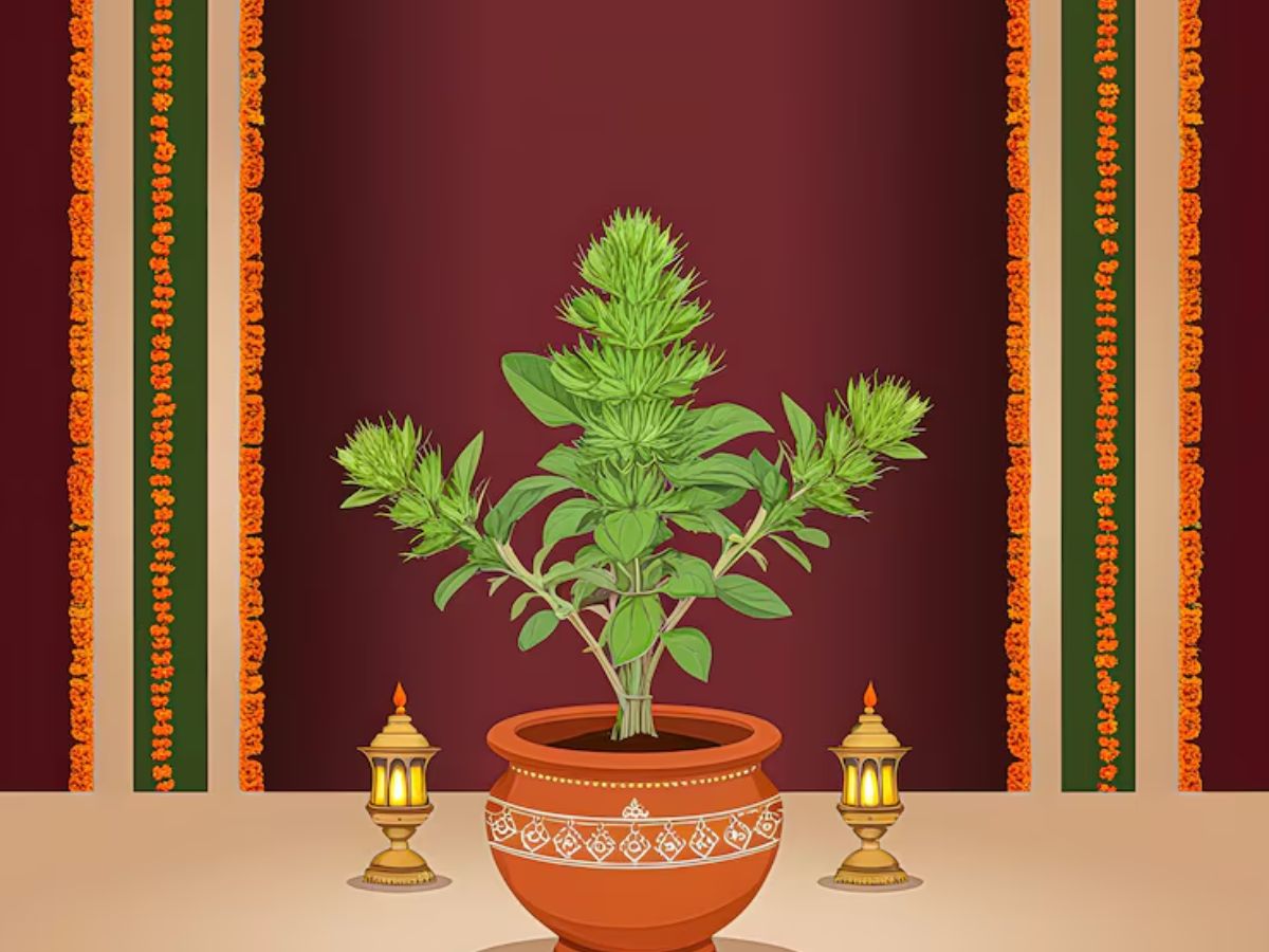 Chaitra Purnima 2026: चैत्र पूर्णिमा के दिन आज जरूर करें ये उपाय, घर में होगा धन लाभ - Photo Gallery