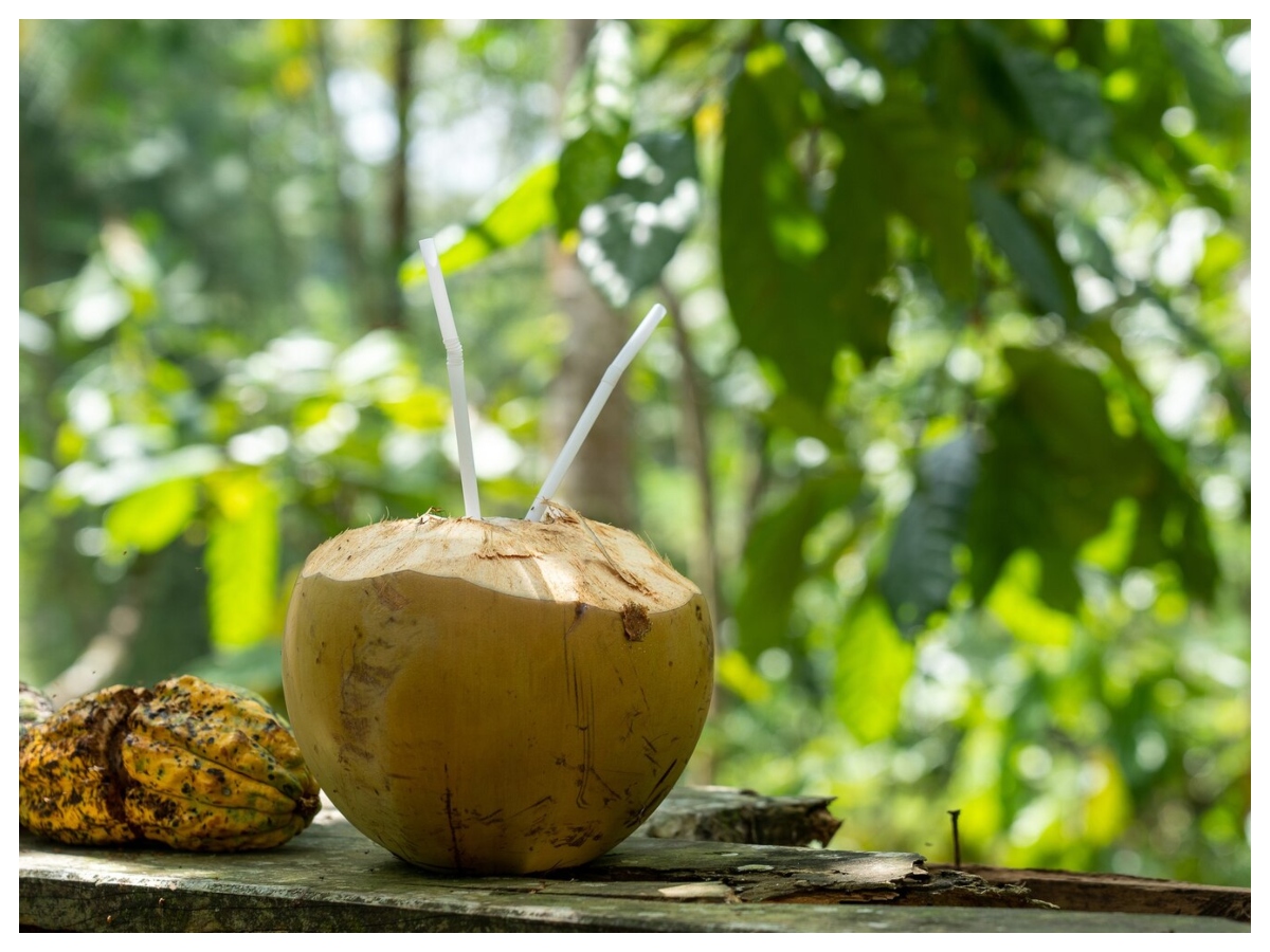 Weight loss drinks: वजन घटाने में सहायक हैं ये हेल्दी ड्रिंक्स, तेजी से कम होगा फैट - Photo Gallery