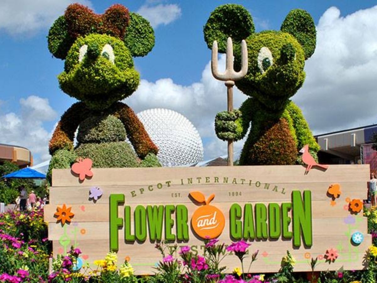 April 2026 Travel Guide: रंग-बिरंगे फूलों की बहार! अप्रैल में जरूर देखें ये 6 खूबसूरत फ्लावर फेस्टिवल - Photo Gallery