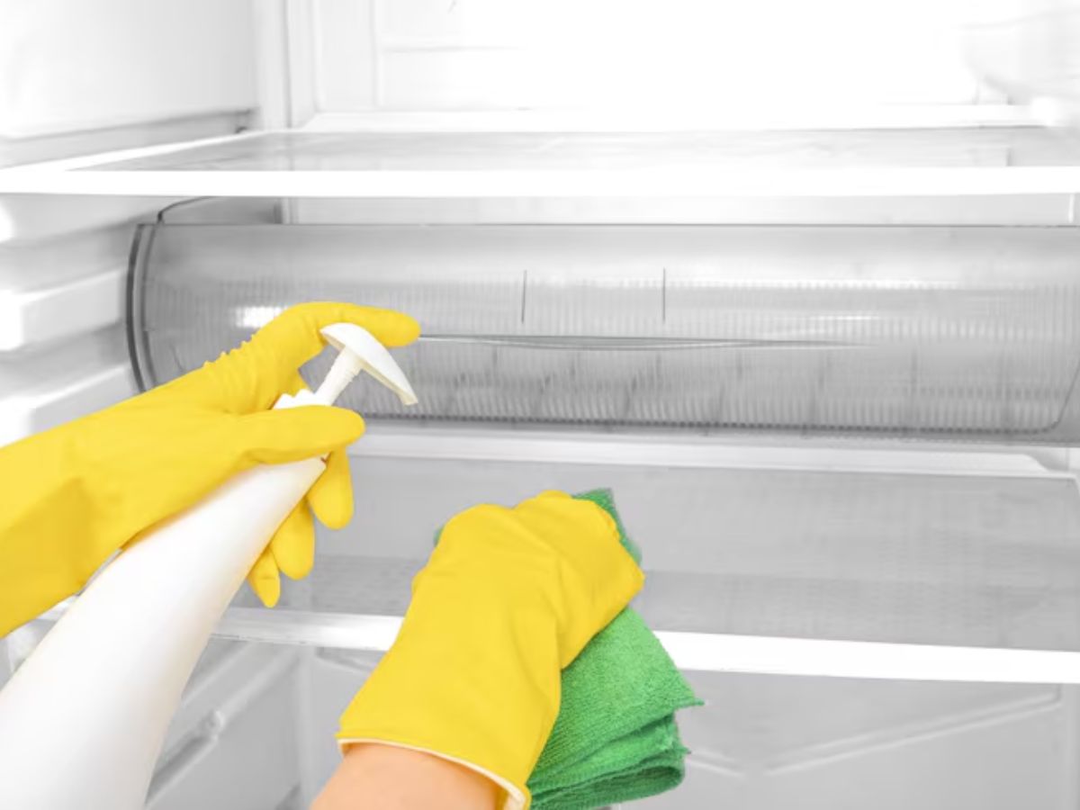 Fridge Cleaning Tips: चमाचम हो जाएगी फ्रिज, ऐसे करें साफ, कोना-कोना हो जाएगा सफेद…! - Photo Gallery