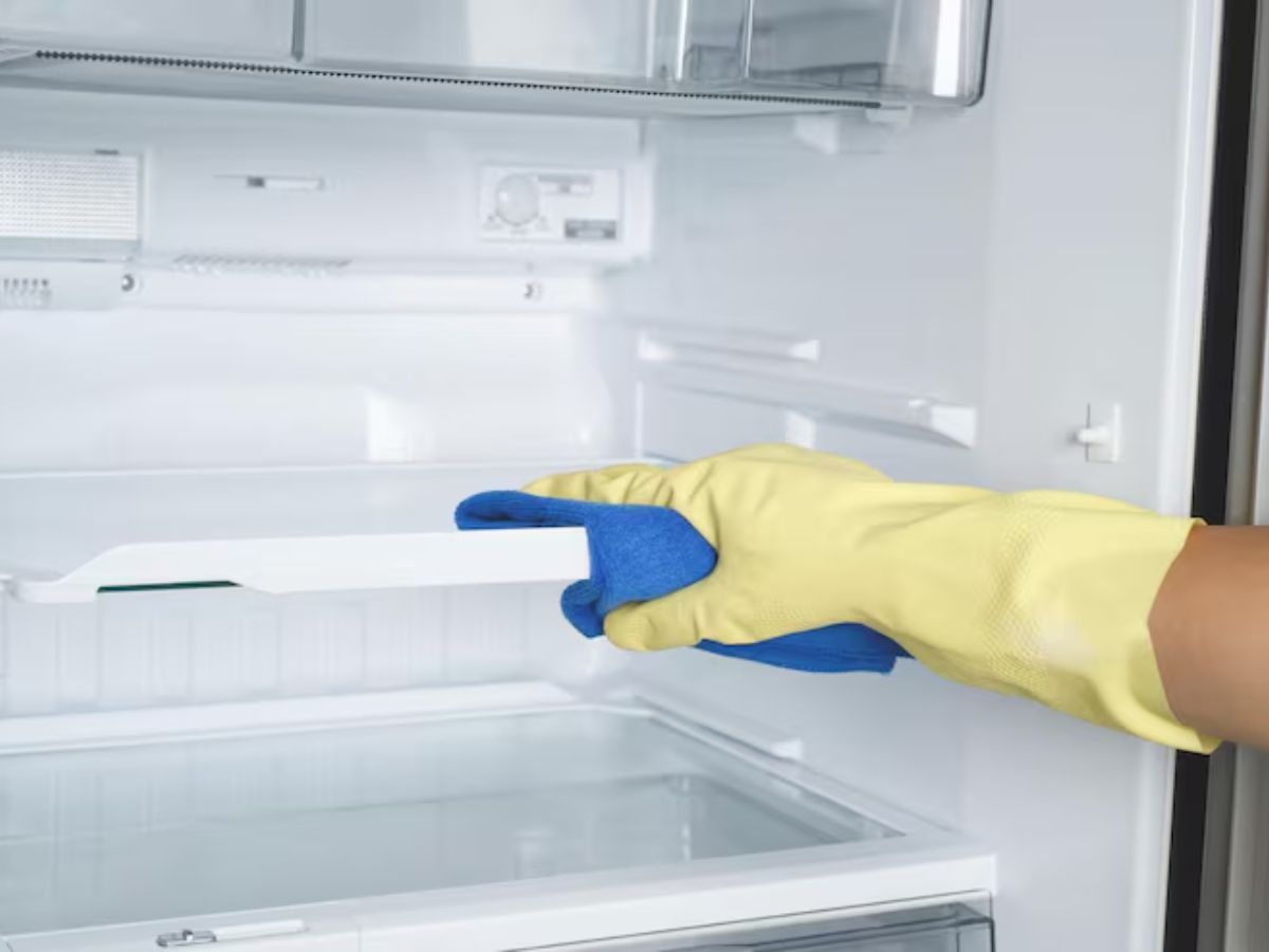 Fridge Cleaning Tips: चमाचम हो जाएगी फ्रिज, ऐसे करें साफ, कोना-कोना हो जाएगा सफेद…! - Photo Gallery