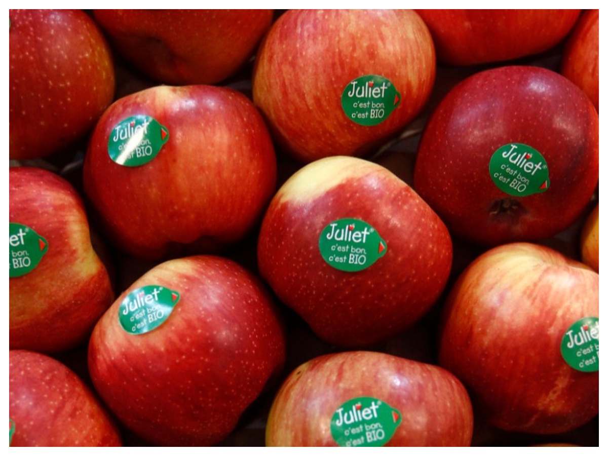 Sticker fruits: भूलकर भी न खाएं स्टिकर वाले फल, शरीर में पहुंचा रहे हैं खतरनाक केमिकल…जानिए कैसे करें बचाव - Photo Gallery