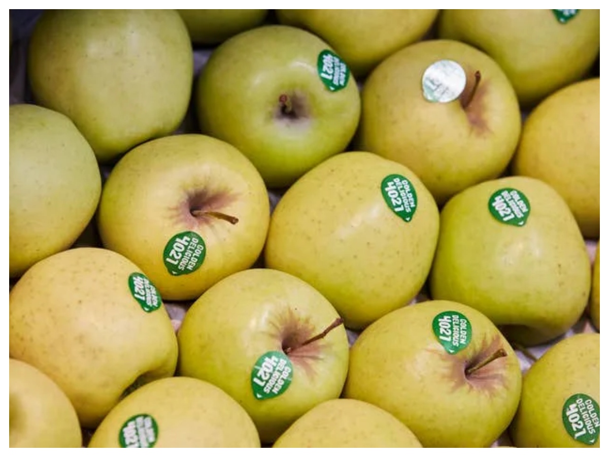 Sticker fruits: भूलकर भी न खाएं स्टिकर वाले फल, शरीर में पहुंचा रहे हैं खतरनाक केमिकल…जानिए कैसे करें बचाव - Photo Gallery