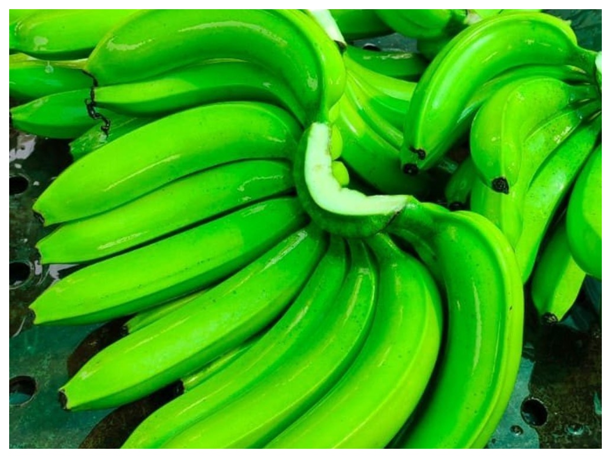 Green banana vs yellow banana: हरा या पीला केला, फाइबर, शुगर और सेहत के हिसाब से कौन सा है बेहतर विकल्प? - Photo Gallery