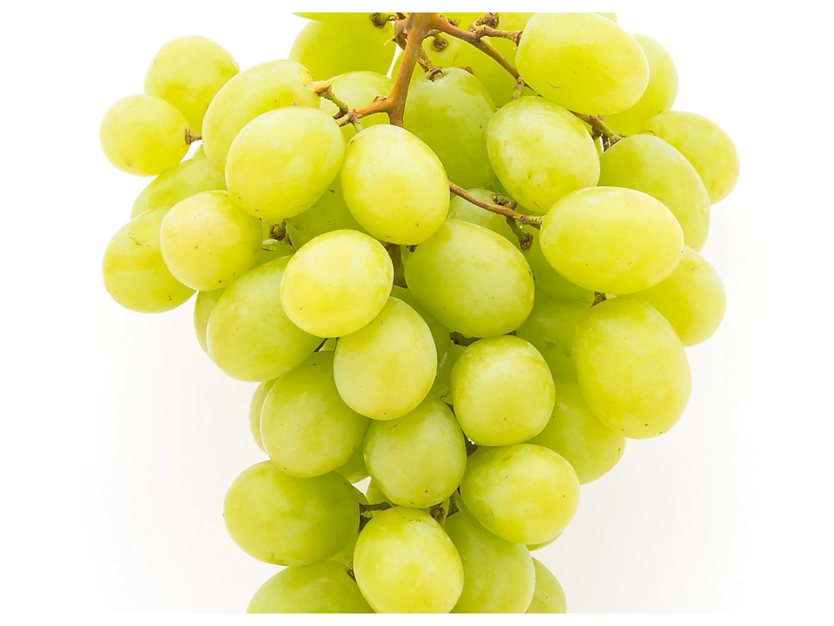 Black green grapes benefits: काले या खट्टे अंगूर किसके हैं ज्यादा फायदे? स्किन और एंटी-एजिंग के लिए कौन सा बेहतर - Photo Gallery