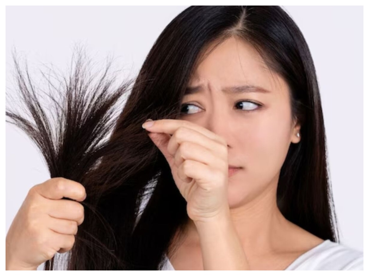 Hair problems: समय से पहले सफेद हो रहे हैं बाल? सही देखभाल से रोकें सफेदी,अपनाएं ये आसान उपाय - Photo Gallery