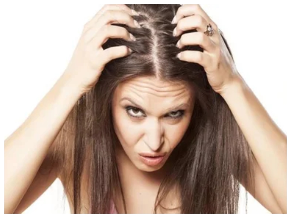 Hair problems: समय से पहले सफेद हो रहे हैं बाल? सही देखभाल से रोकें सफेदी,अपनाएं ये आसान उपाय - Photo Gallery