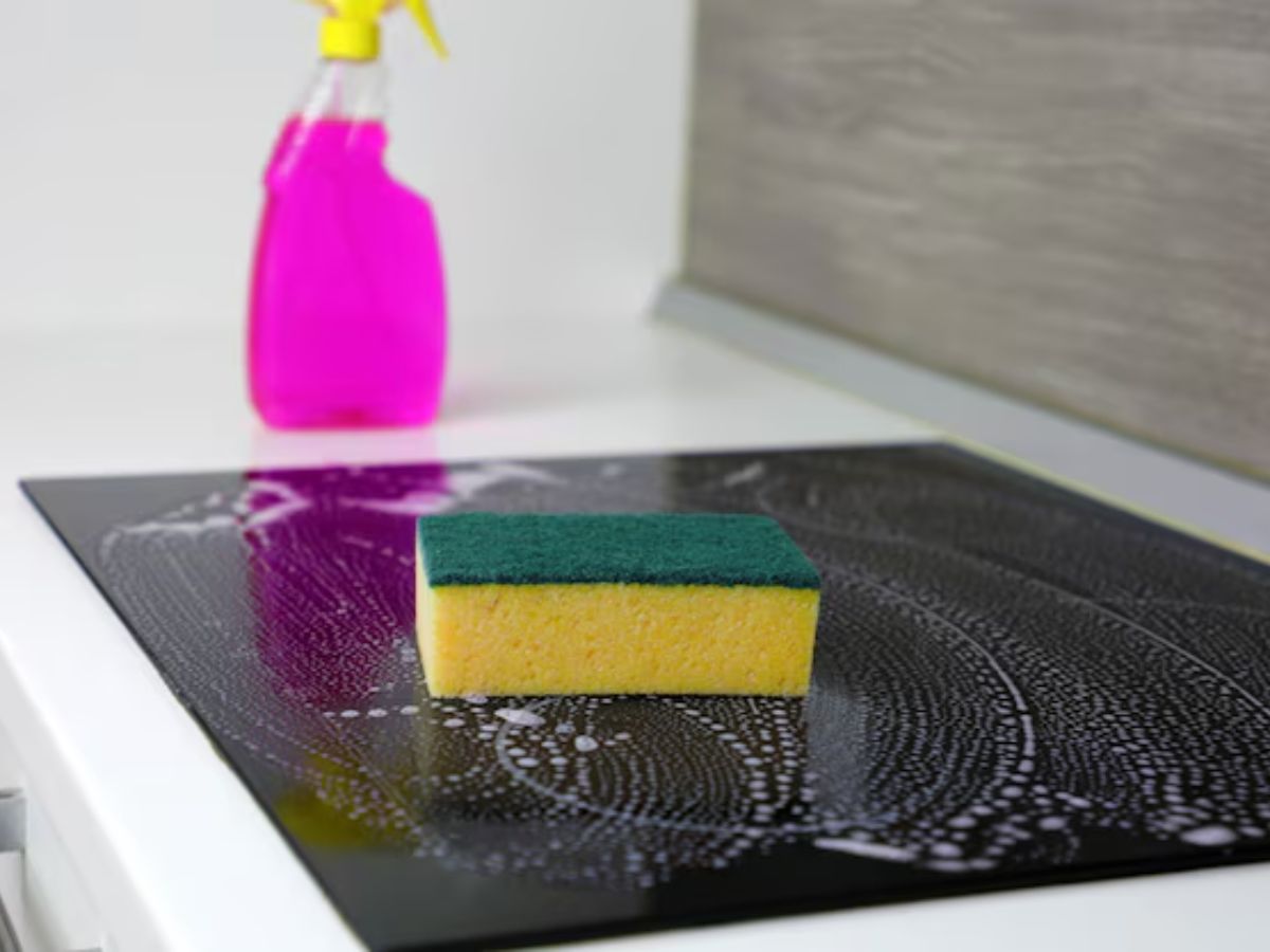 Induction Cleaning Tips: इंडक्शन चूल्हा साफ करते वक्त जरूर ध्यान दें ये बातें, वरना गरीबी में हो जाएगा आटा गीला - Photo Gallery