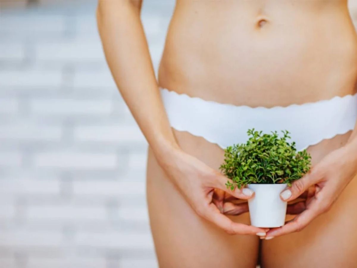 अब गर्मी में इचिंग को कहें बाय-बाय! इंटीमेट एरिया को साफ-सुथरा रखने के लिए अपनाएं ये टिप्स - Photo Gallery