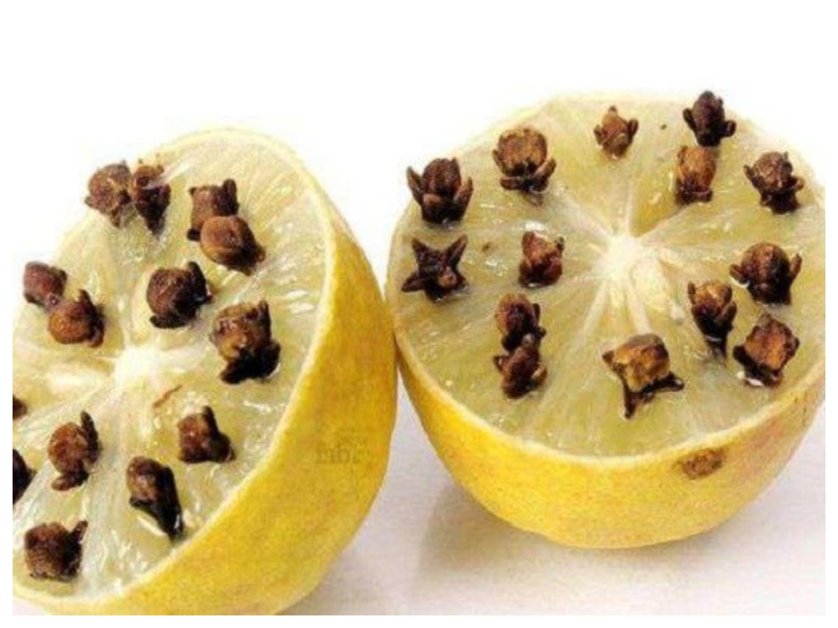 Mosquito repellent: क्या नींबू और लौंग सच में मच्छर भगाते हैं? जानिए सही तरीका - Photo Gallery