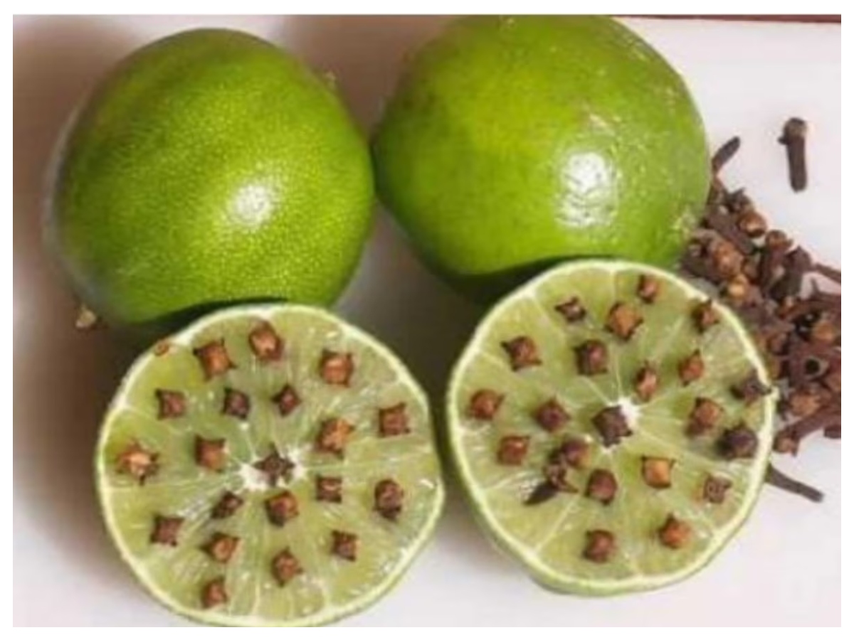 Mosquito repellent: क्या नींबू और लौंग सच में मच्छर भगाते हैं? जानिए सही तरीका - Photo Gallery