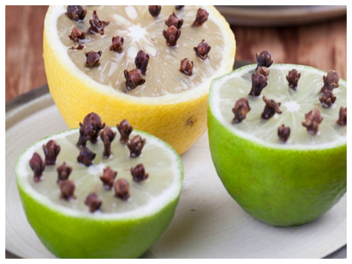 Mosquito repellent: क्या नींबू और लौंग सच में मच्छर भगाते हैं? जानिए सही तरीका - Photo Gallery