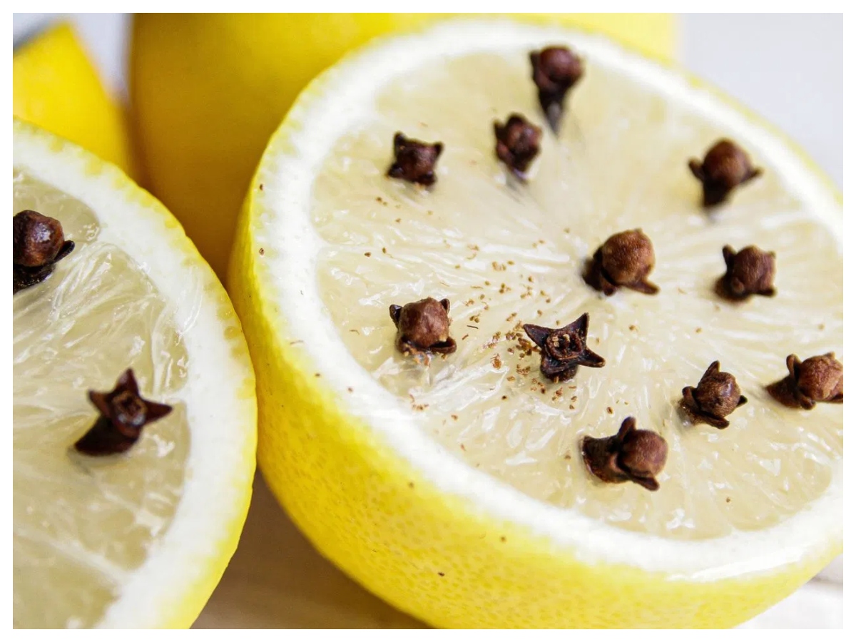 Mosquito repellent: क्या नींबू और लौंग सच में मच्छर भगाते हैं? जानिए सही तरीका - Photo Gallery