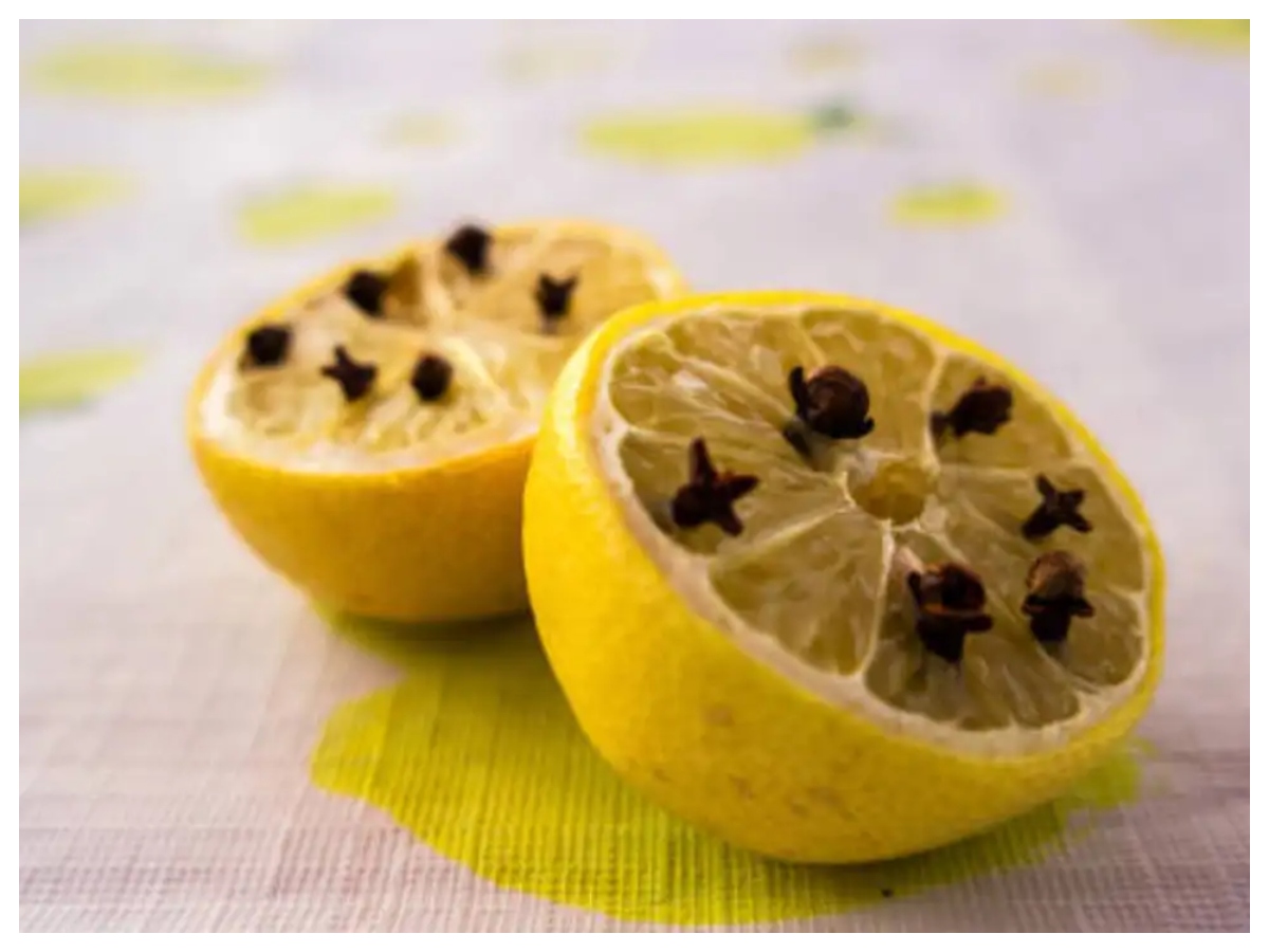 Mosquito repellent: क्या नींबू और लौंग सच में मच्छर भगाते हैं? जानिए सही तरीका - Photo Gallery