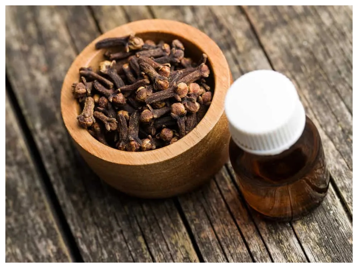 Mosquito repellent: क्या नींबू और लौंग सच में मच्छर भगाते हैं? जानिए सही तरीका - Photo Gallery