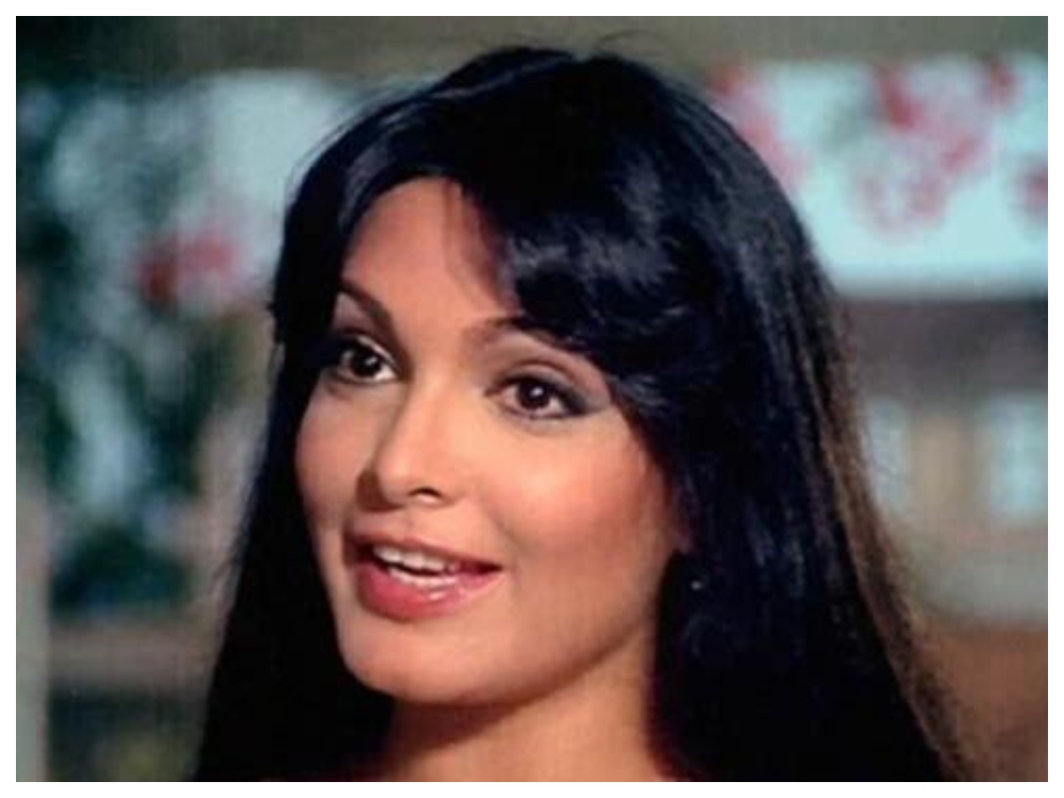 Parveen Babi : बिना कपड़ों के सड़क पर दौड़ी थीं बॉलीवुड की ये हसीना, घर में सड़ी हालत में मिली लाश, मौत बनी मिस्ट्री - Photo Gallery