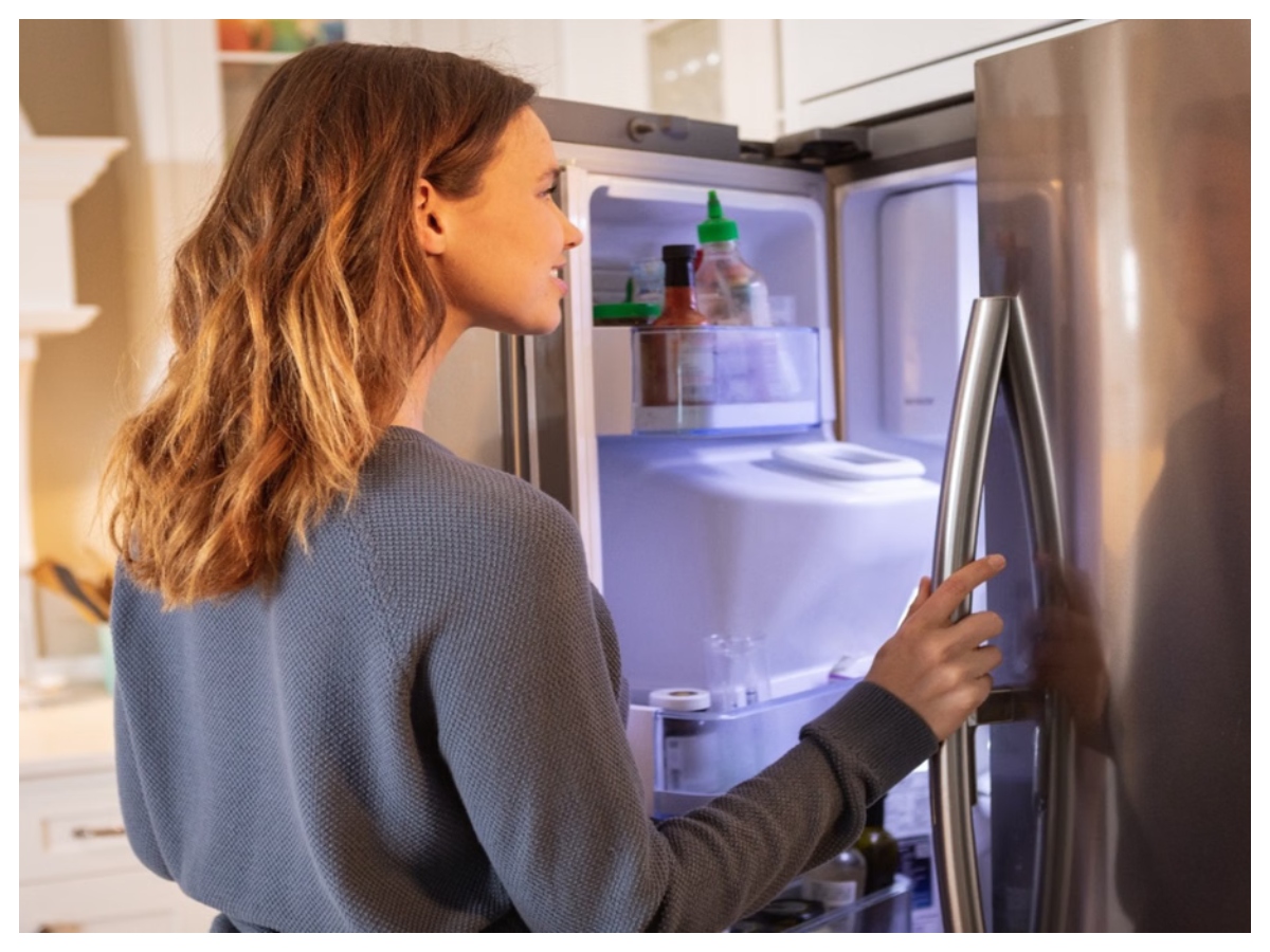 Refrigerator rubber seal: फ्रिज में रबर सील क्यों होती है? जानिए इसकी खासियत और काम - Photo Gallery