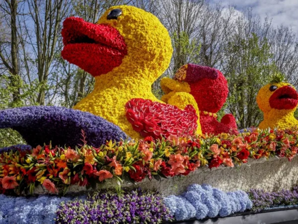 April 2026 Travel Guide: रंग-बिरंगे फूलों की बहार! अप्रैल में जरूर देखें ये 6 खूबसूरत फ्लावर फेस्टिवल - Photo Gallery