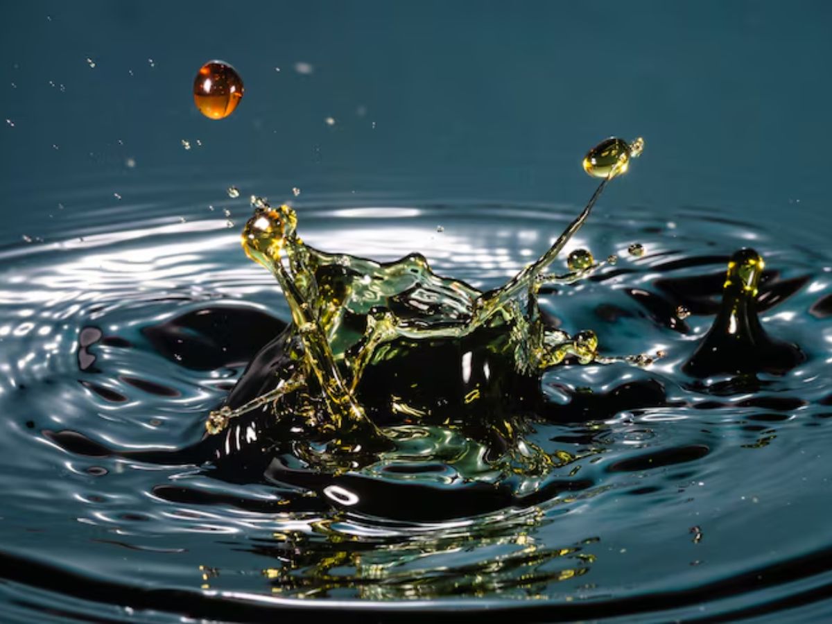 Vastu Tips: अपने किचन में गलती से भी न रखें ये चीजें, घर में हमेशा बना रहेगा तनाव, नहीं आएंगी मां लक्ष्मी - Photo Gallery