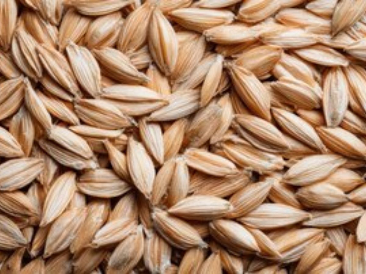 Vastu Tips: अपने किचन में गलती से भी न रखें ये चीजें, घर में हमेशा बना रहेगा तनाव, नहीं आएंगी मां लक्ष्मी - Photo Gallery